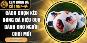 Cách chọn kèo bóng đá