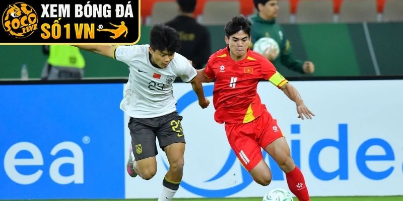 Những tranh luận và chỉ trích gay gắt trên mạng xã hội