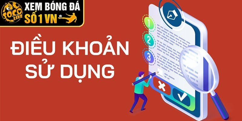 Quyền và nghĩa vụ người dùng