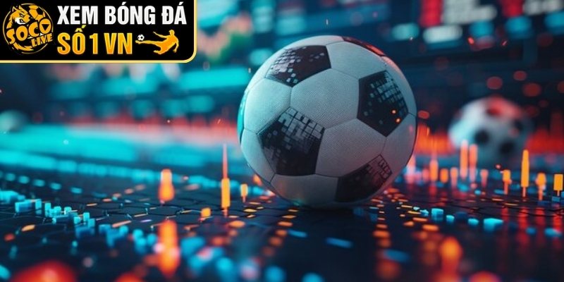 Những đặc điểm nhận diện cần nắm 