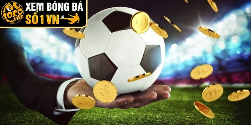 Khái quát tổng quan về kèo rung cho tân thủ