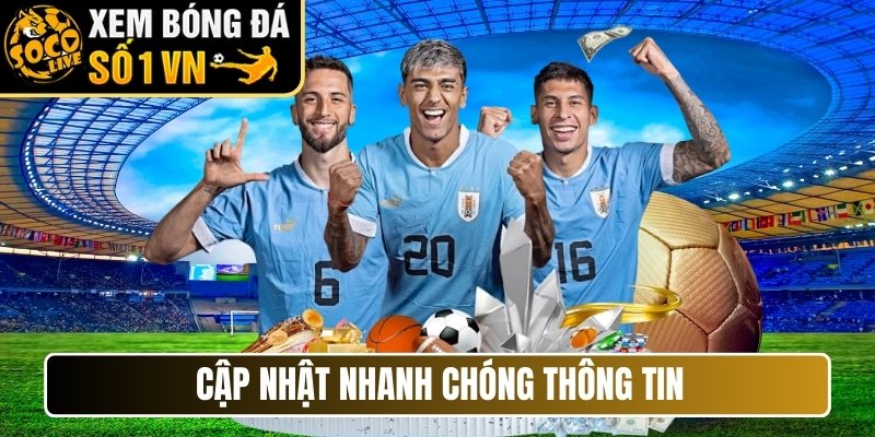 Cập nhật nhanh chóng thông tin