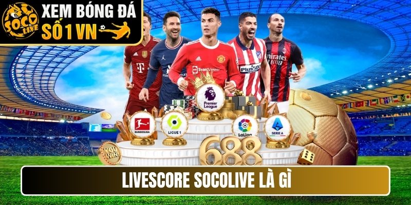 Livescore Socolive là gì?