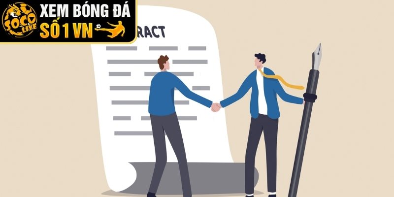 Cách Socolive cập nhật chính sách miễn trừ trách nhiệm