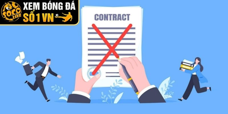 Phạm vi hoạt động của nền tảng