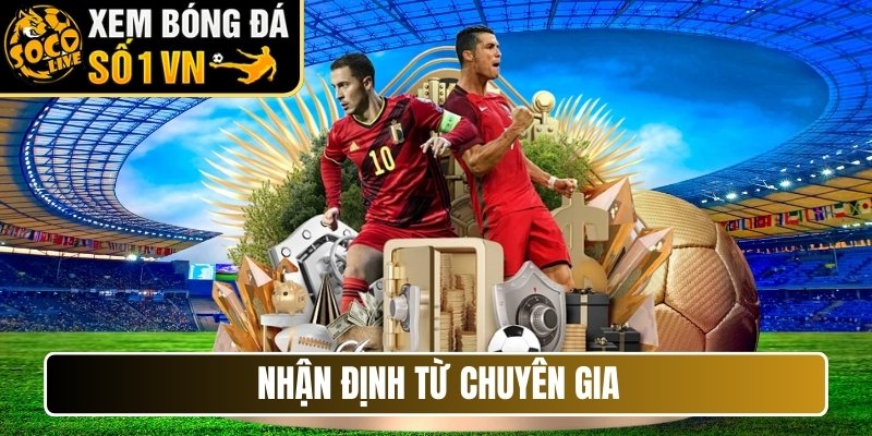 Nhận định từ chuyên gia