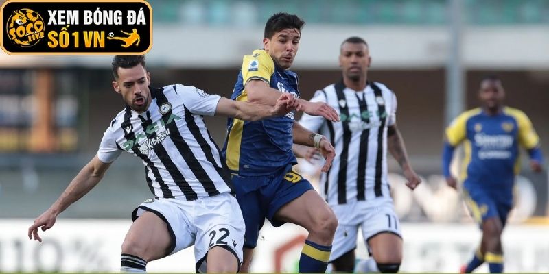 Thông tin lực lượng Hellas Verona vs Udinese (02:45 ngày 27-01, Serie A)