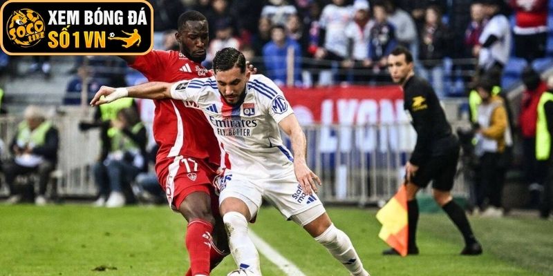Thông tin lực lượng Lyonnais vs Stade Brestois (02:45 ngày 19-01, Ligue 1)
