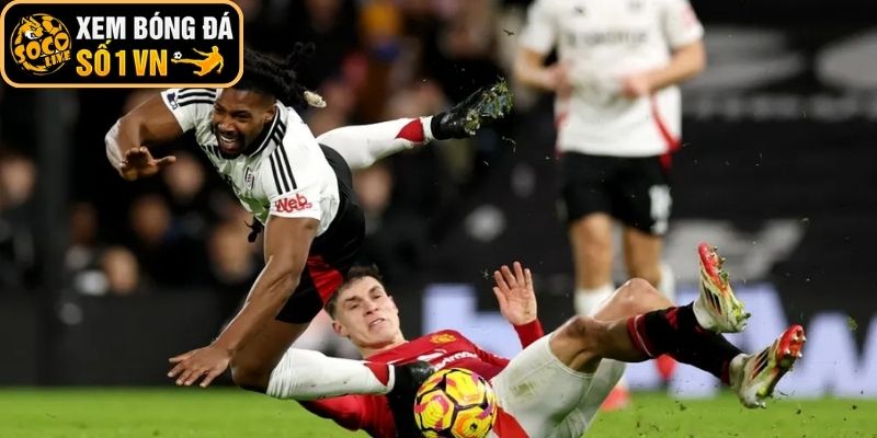 Thông tin lực lượng Manchester United vs Fulham (21:00 ngày 01-02, Ngoại hạng Anh)