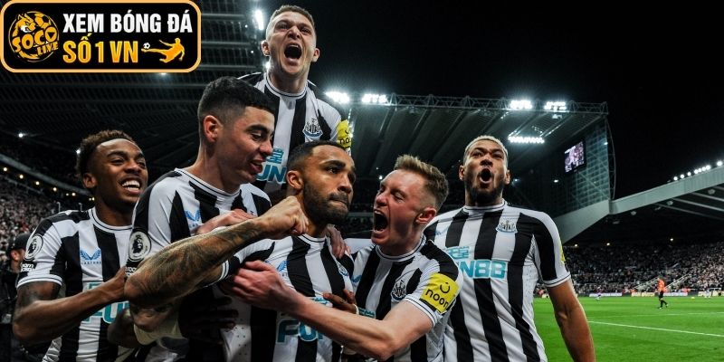 Phong độ Newcastle United