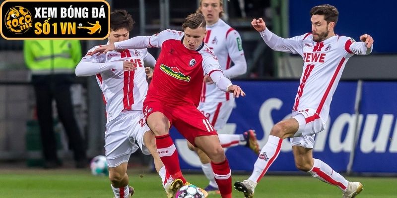 Thông tin lực lượng SC Freiburg vs Koln (23:30 ngày 25-01, Bundesliga)