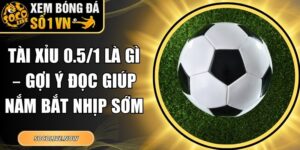 Tài Xỉu 0.5/1 Là Gì