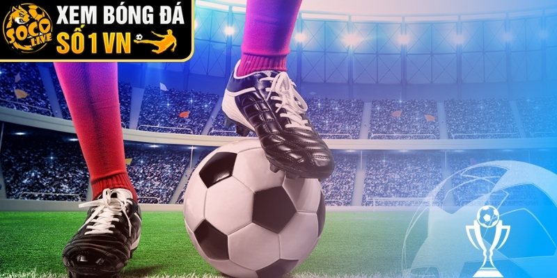 Giải thích bản chất tài xỉu 0.5/1 là gì 