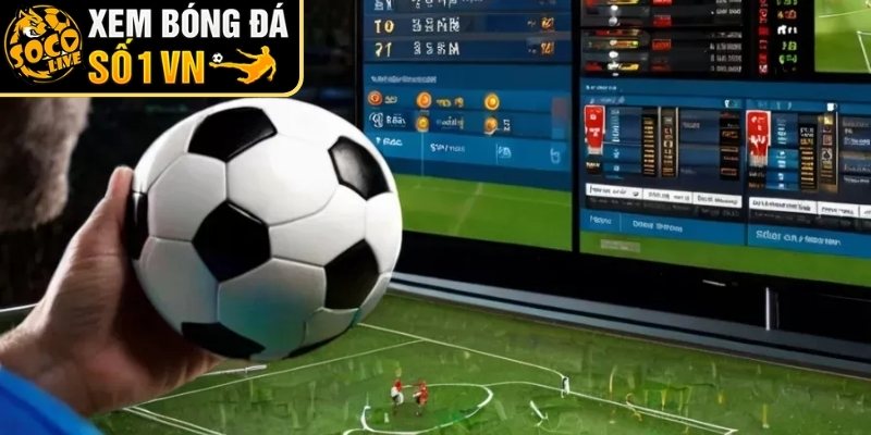 Cách đọc kết quả khi tham gia 