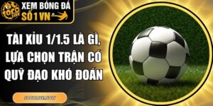 Tài Xỉu 1/1.5 Là Gì