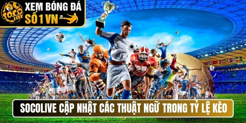 Socolive cập nhật các thuật ngữ thường gặp trong tỷ lệ kèo