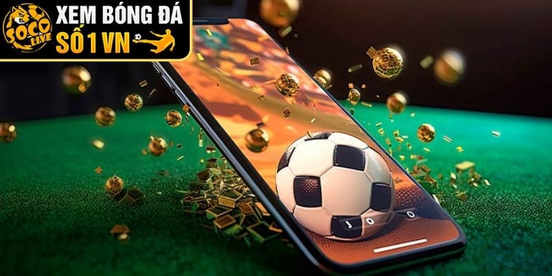 Cách đọc và hiểu tỷ lệ một cách chính xác 