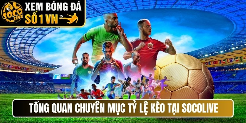 Tổng quan chuyên mục tỷ lệ kèo tại Socolive