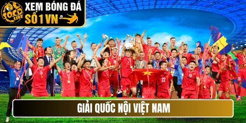 Giải quốc nội Việt Nam